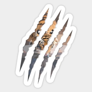 Tiger Attack Sticker
